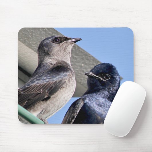 Paarse Martin Pair Muismat (Met muis)