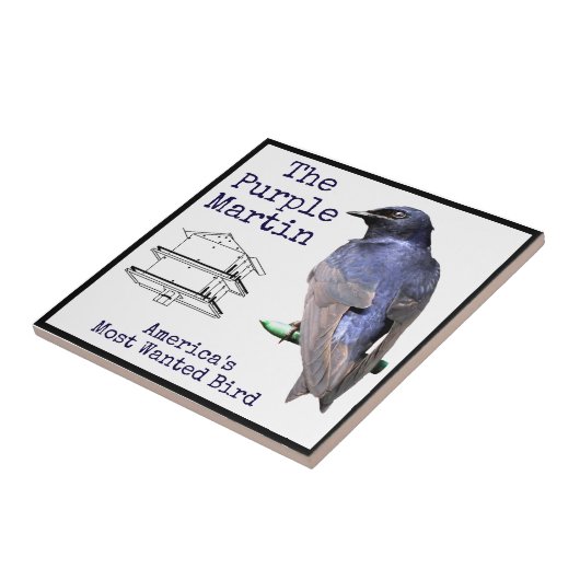 Paarse Martin Tegeltje (Zijkant)