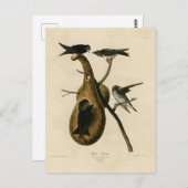 Paarse Martin uit Audubon's Birds of America Briefkaart (Voorkant / Achterkant)