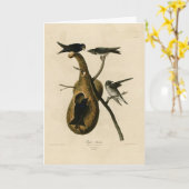 Paarse Martin uit Audubon's Birds of America Kaart (Gele Bloem)