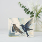 Paarse Martin verhuurder Natuur Swallow Bird kaleb Briefkaart (Staand voorkant)