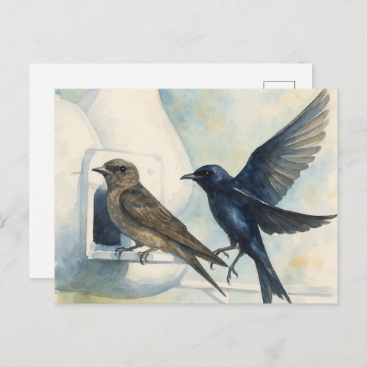 Paarse Martin verhuurder Natuur Swallow Bird kaleb Briefkaart (Voorkant / Achterkant)