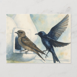 Paarse Martin verhuurder Natuur Swallow Bird kaleb Briefkaart