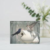 Paarse Martin verhuurder Natuur Swallow Bird kaleb Briefkaart (Staand voorkant)