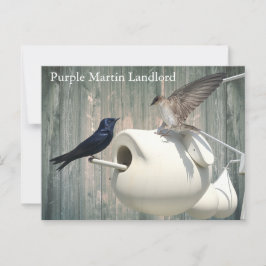 Paarse Martin verhuurder Natuur Swallow Bird kaleb Briefkaart