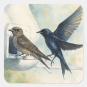Paarse Martin verhuurder Natuur Swallow Bird kaleb Vierkante Sticker (Voorkant)