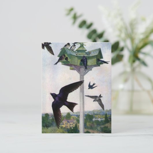 Paarse Martins en hun geboorteland Briefkaart (Staand voorkant)