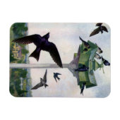 Paarse Martins en hun geboorteland Magneet (Horizontaal)