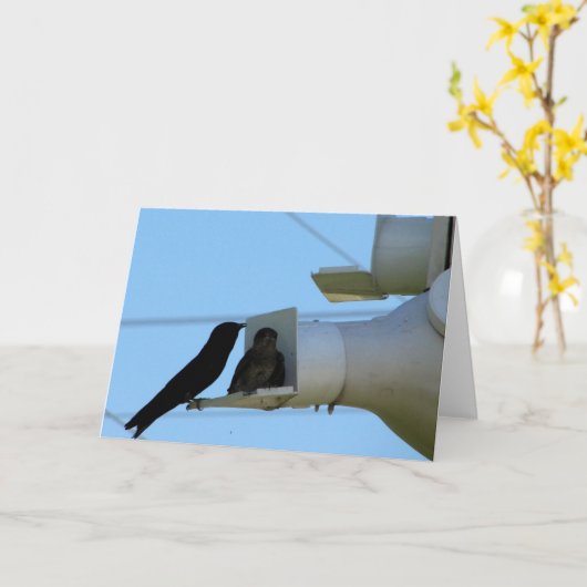 Paarse Martins Kaart (Gele Bloem)