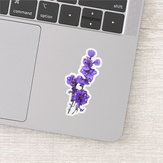Paarse Mealycup Salie Bloem Sticker (Detail)