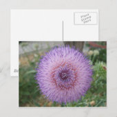 Paarse melk Thistle Briefkaart (Voorkant / Achterkant)