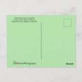 Paarse mensvogel in een Graceful Pose Briefkaart (Achterkant)