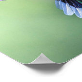 Paarse mensvogel vliegt in een Graceful Pose Poster (Hoek)