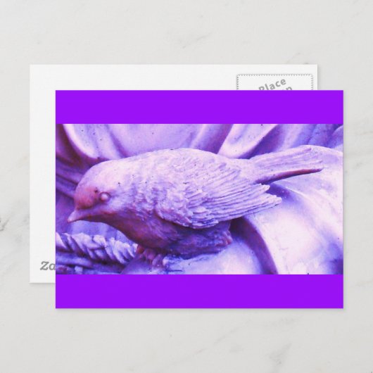 Paarse met de wettelijke status briefkaart (Voorkant / Achterkant)