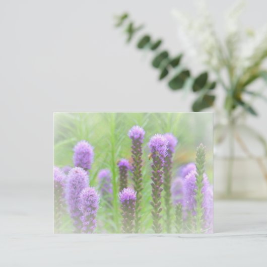 Paarse met een rijpingskop briefkaart (Staand voorkant)