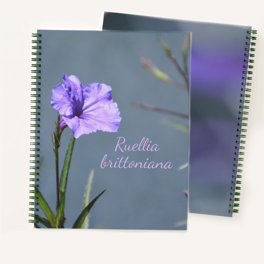Paarse Mexicaan Petunia Floral  Notitieboek