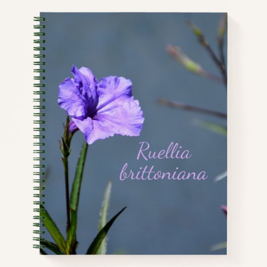 Paarse Mexicaan Petunia Floral Notitieboek (Voorkant)