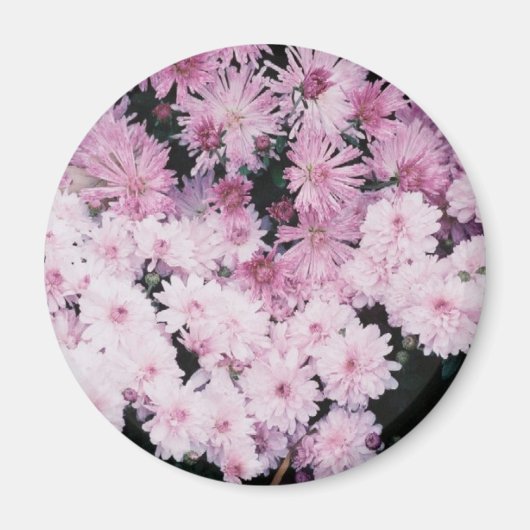 paarse moeders magneet (Voorkant)