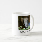 PAARSE MOK GALLINULE (Voorkant rechts)