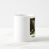 PAARSE MOK GALLINULE (Center)