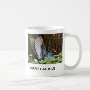 PAARSE MOK GALLINULE