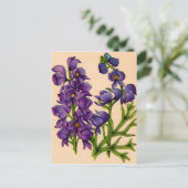 paarse monkshoods briefkaart (Staand voorkant)
