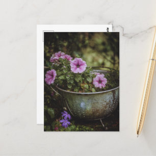 Paarse Mooie Petunia's Briefkaart