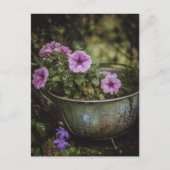 Paarse Mooie Petunia's Briefkaart (Voorkant)