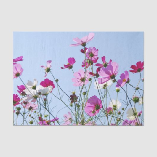 Paarse Mooie Zomer Bloemwei Tissuepapier (Voorkant)