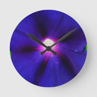 Paarse Morgen Glorie Bloem Ronde Klok