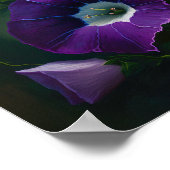 Paarse Morning Glory Flower Art Print Poster (Hoek)