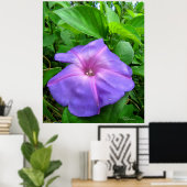 Paarse Morning Glory Flower Poster (Thuiskantoor)