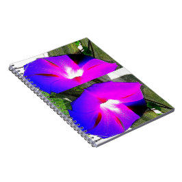 Paarse morning Glory Flower Spiral notebook Notitieboek