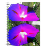 Paarse morning Glory Flower Spiral notebook Notitieboek (Voorkant)