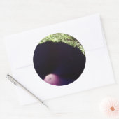 Paarse Morning Glory Flower Sticker (Envelop)