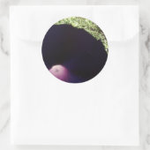 Paarse Morning Glory Flower Sticker (Tas)