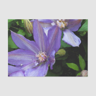 Paarse morning Glory Flower Tissuepapier