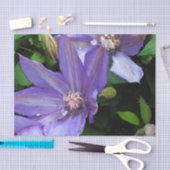 Paarse morning Glory Flower Tissuepapier (Craft)