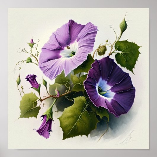 Paarse Morning Glory Flowers Art Print Poster (Voorkant)