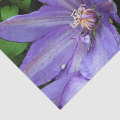 Paarse morning Glory-ontkoppeling Tissuepapier (Detail)