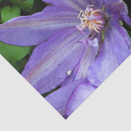 Paarse morning Glory-ontkoppeling Tissuepapier (Detail)