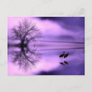 Paarse Morning Post Card Briefkaart