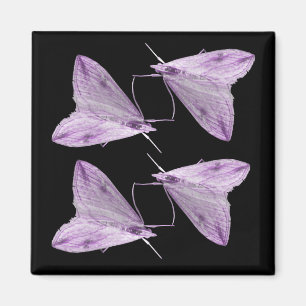 Paarse Moth Art Magnet