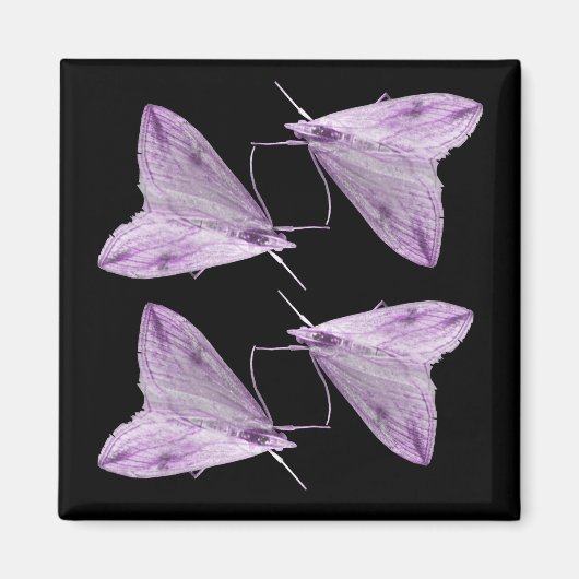 Paarse Moth Art Magnet (Voorkant)