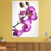 Paarse Moth Orchid Flower Canvas Afdruk (Insitu (Woonkamer))