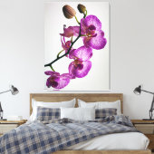 Paarse Moth Orchid Flower Canvas Afdruk (Insitu (Slaapkamer))