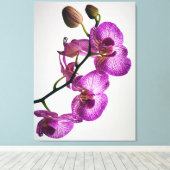 Paarse Moth Orchid Flower Canvas Afdruk (Insitu (Houten vloer))