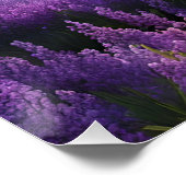 Paarse Mountain Valley Sunrise Perfect Poster (Hoek)