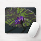 Paarse Muismat Lotus Waterlily (Met muis)