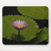 Paarse Muismat Lotus Waterlily (Voorkant)